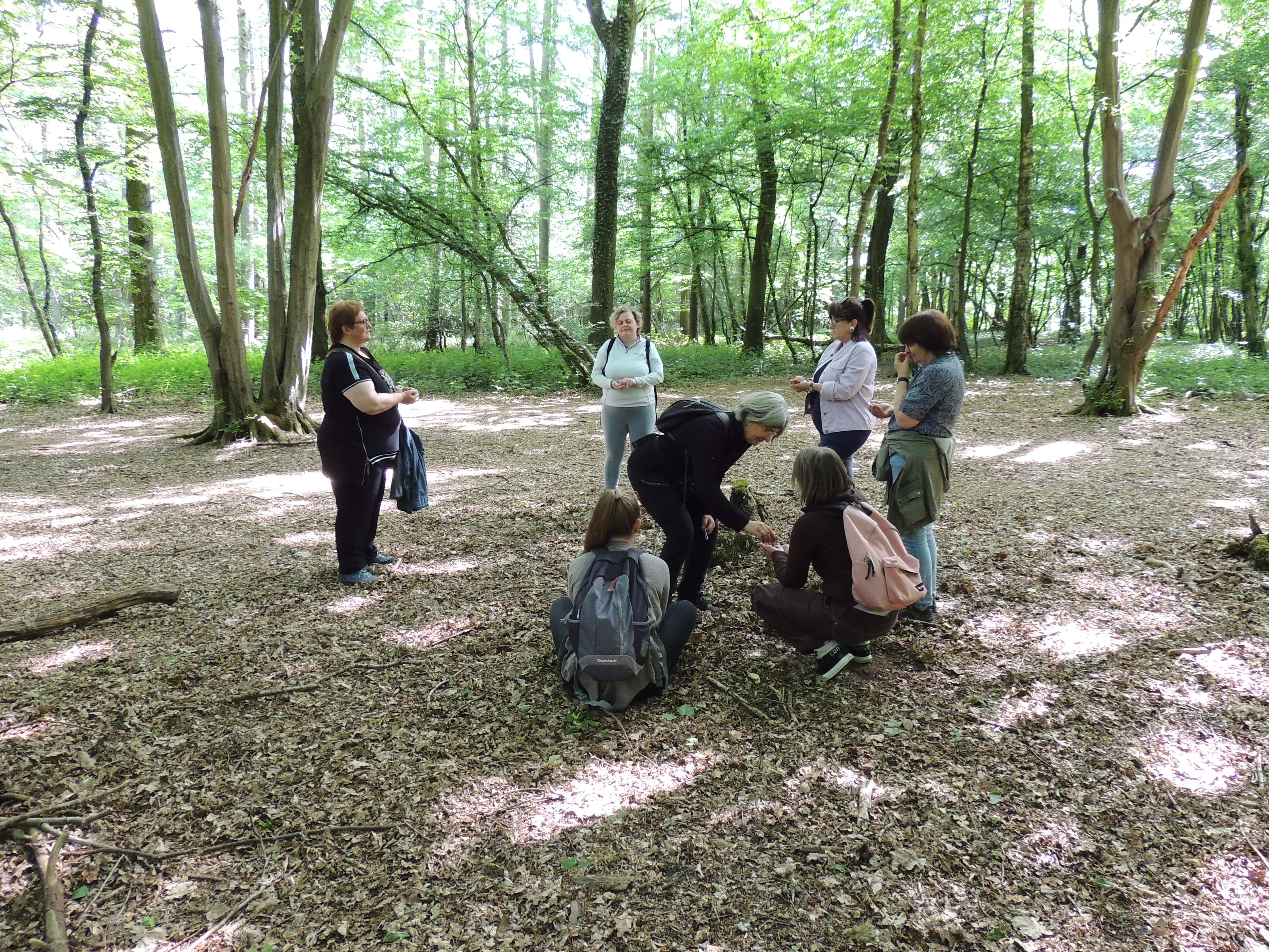 Méditation en forêt